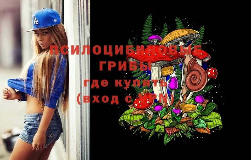 Галлюциногенные грибы Magic Shrooms  Горнозаводск 